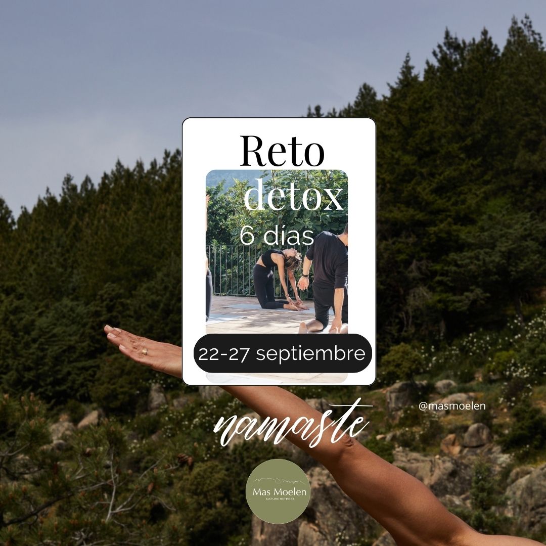 Primer reto detox 6 días de Mas Moelen