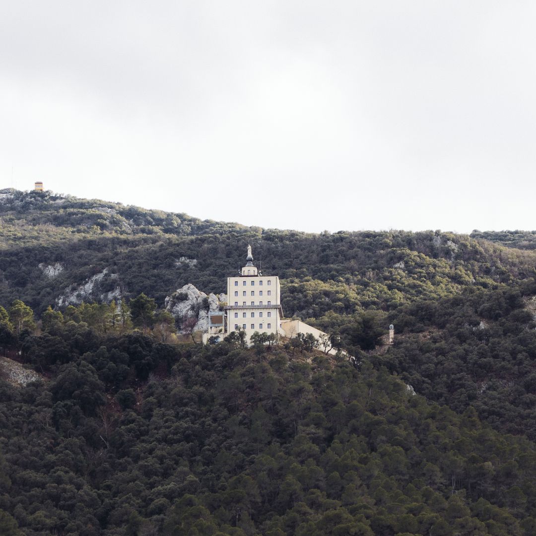 Mas Moelen x La Masía Alcoy