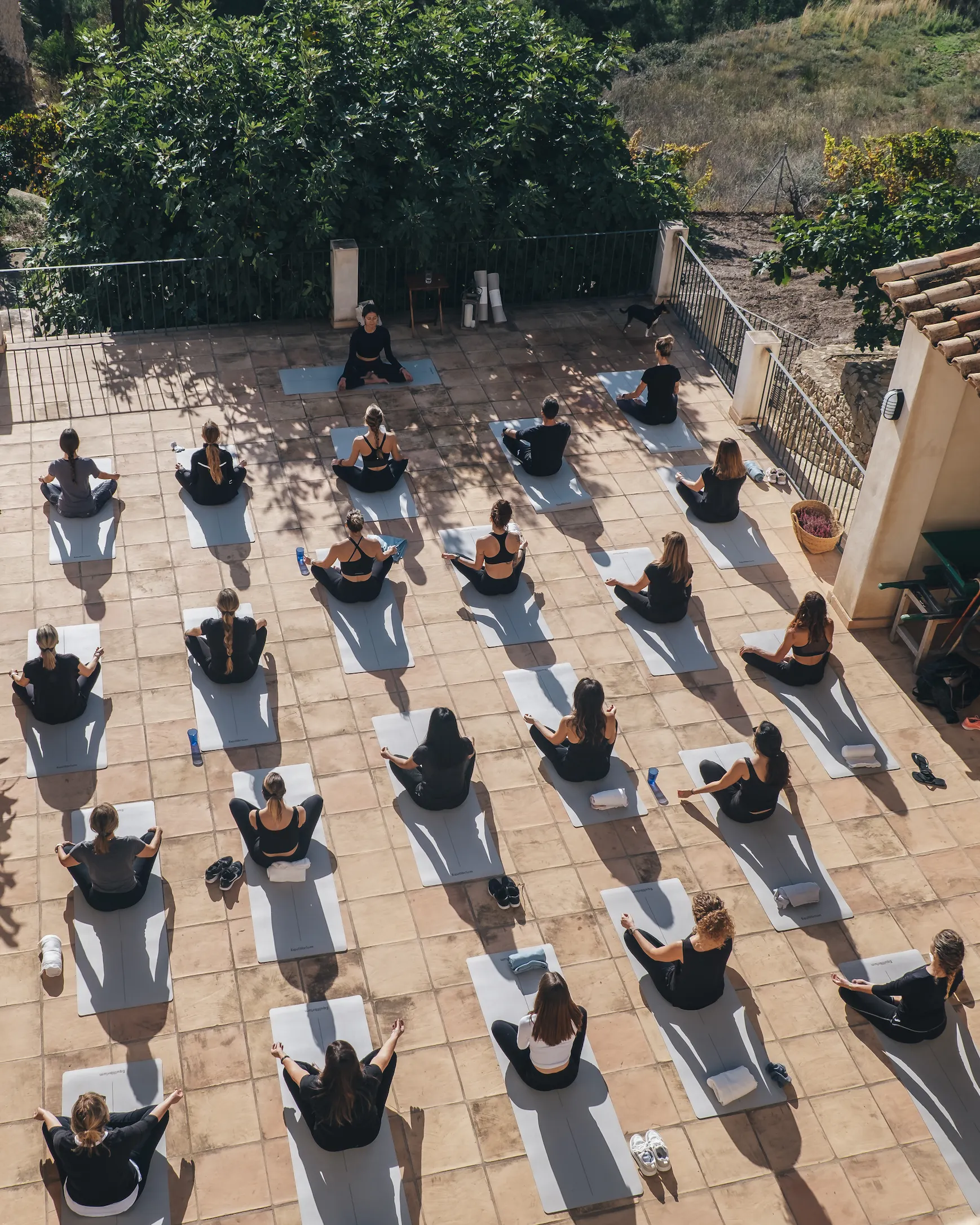 FLORECER EN FEMENINO - Imagen 7